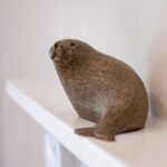 gulls roost 10 small