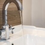 gulls roost 19 small