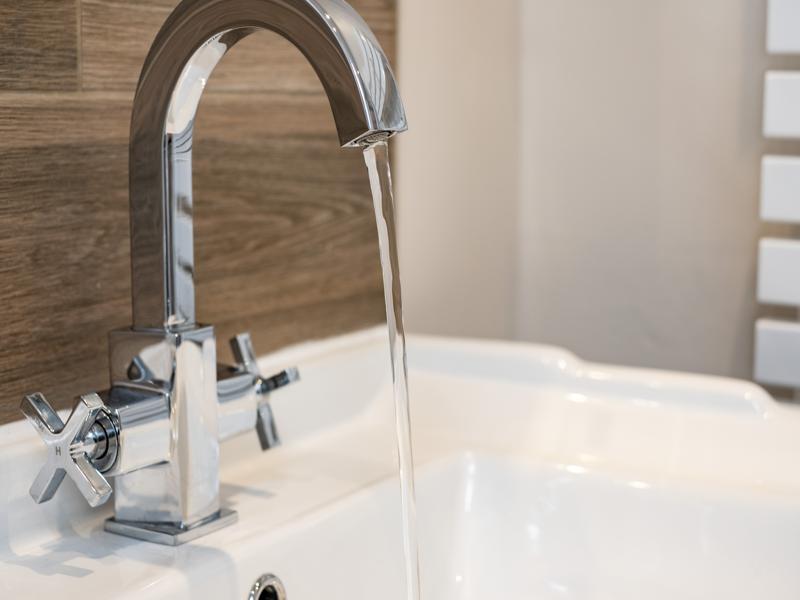 gulls roost 19 small