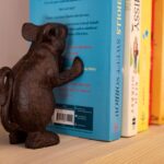 gulls roost 37 small