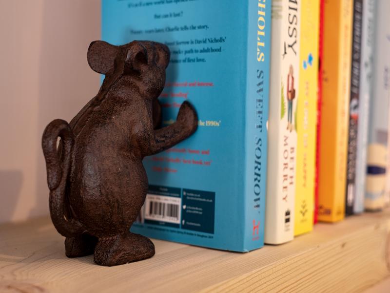 gulls roost 37 small