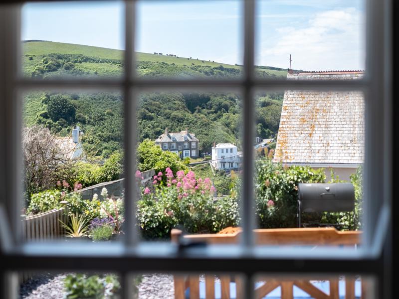 gulls roost 50 small