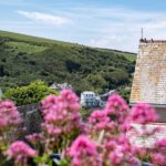 gulls roost 58 small