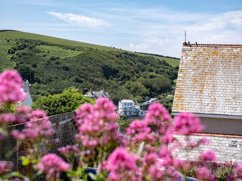 gulls roost 58 small